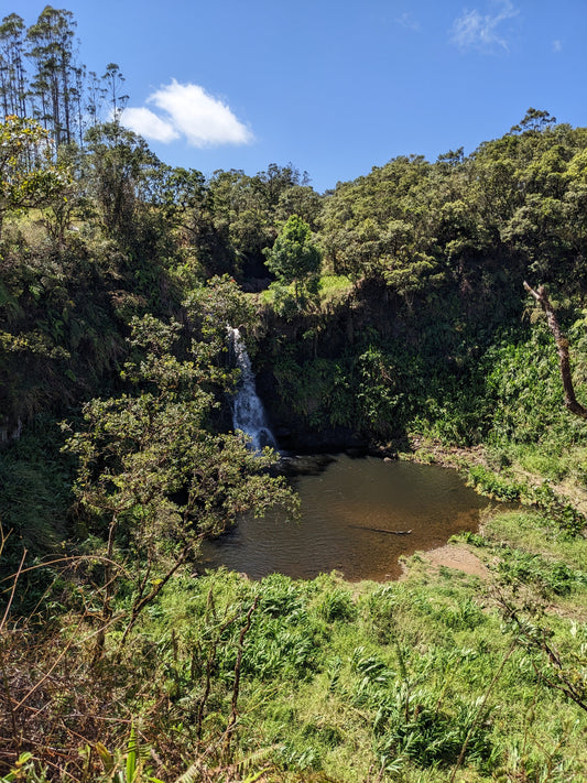 Hawaii's Most Magnificent Waterfall Adventures!