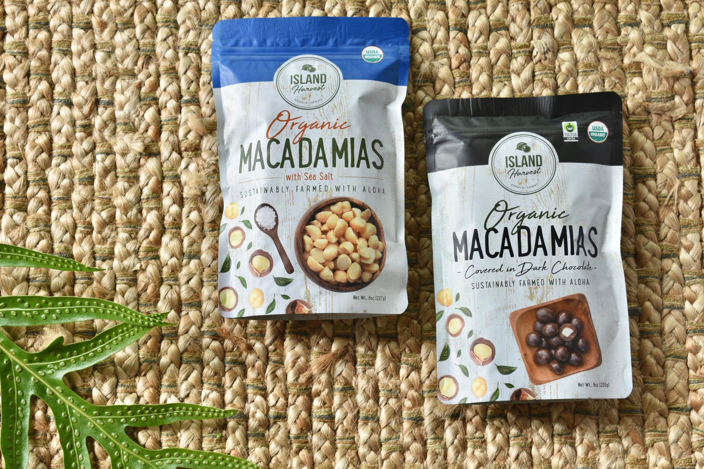 sendingyoualohahi Nuts & Seeds Macadamia nuts organic - with sea salt 8oz